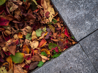 石の階段と落ち葉