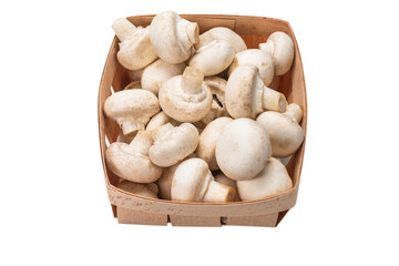 Champignon mushroom isolated on white background.