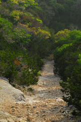 Fototapeta na wymiar A rock trail leads down a gentle slope in Texas's Hill Country.
