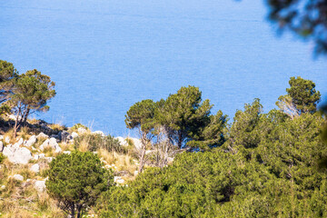 Mondello bei Sizilien. Hügellandschaft im Frühling direkt am Meer mit Blick auf die Berge und Küste Siziliens in Italien