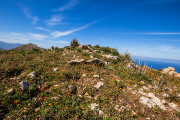Mondello bei Sizilien. H&uuml;gellandschaft im Fr&uuml;hling direkt am Meer mit Blick auf die Berge und K&uuml;ste Siziliens in Italien