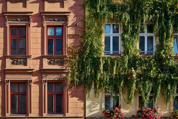 Schön renovierte und begrünte Altbaufassaden mit Blumenkästen in Berlin-Kreuzberg im Abendlicht