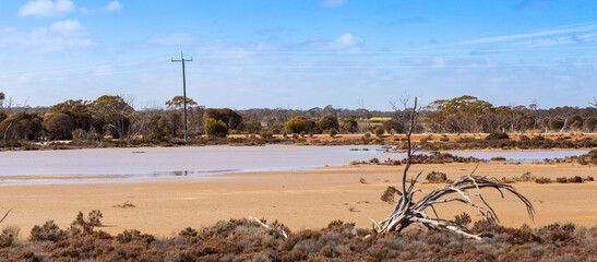on the sandy shores of a small lake on the East Hyden Bin Road