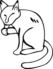 vector illustration washing cat drawn black lines