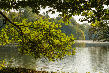 Eine grüne herbstliche Uferlandschaft mit tief hängenden Zweigen und Ästen mit Blättern über...