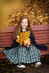 Irish little girl outdoor photo on fall landscape background