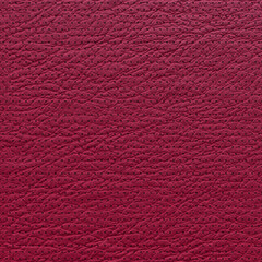 Lamb leather perforated dots. Amaranth leather texture closeup. Useful as background for design-works. 3D-rendering