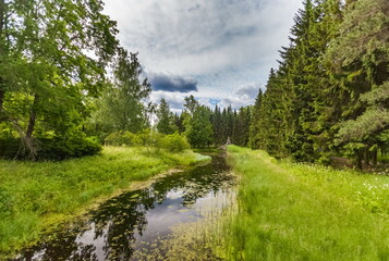 Summer landscape in a city Park with trees, grass, river, sky with clouds