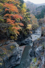 中津川の渓谷と紅葉／秩父多摩甲斐国立公園（埼玉県秩父市）