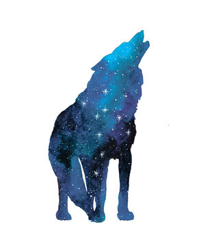 Animal silhouette with night sky. Stars. Wolf constellation.