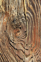 Wooden texture close up. Old wood.