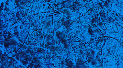 Surface, wallpaper, background like neurons.