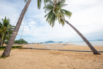Hammock between two coconut trees on a tropical island