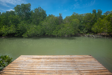 Wooden pier with view to tropical water at mangrove forest
