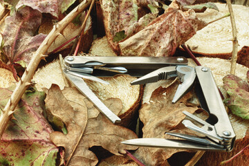 Multi tool, compas, raw nature, try to survive items.