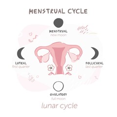 Diagram of the menstrual cycle by moon phases. Lunar cycles for women's health. Symbol of the uterus with flowers isolated on a white background in boho style. Vector illustration
