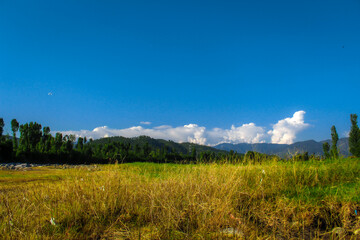 Obraz premium landscape with sky and clouds