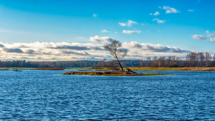 Fototapeta premium An island on a river or lake with a lone tree without leaves. Calming autumn landscape.