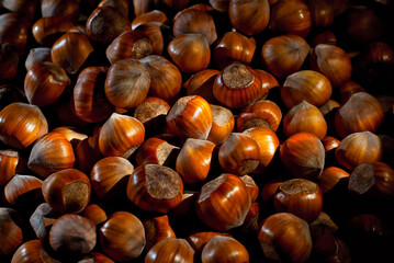 Hazelnuts on a pile close up. Texture of nuts. Contrasting dramatic light as an artistic effect.