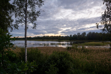 Fototapeta na wymiar colorful forest landscape on the lake at sunset