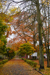 Autumn park, with a walking path, with trees on the sides, with yellow and green trees and bushes.