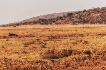 Tourists being taken on game-spotting safari
