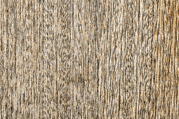 Wood structure texture. Cracked wooden pattern. Plank background. Natural wood board. Distressed wood structure for graphic design.