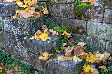 Weinberge in Stuttgart mit Herbstfarben Rotenberg laub