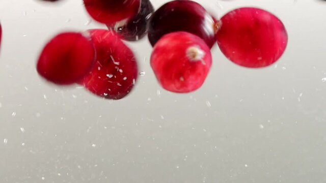 Fresh ripe cranberries falling into water.