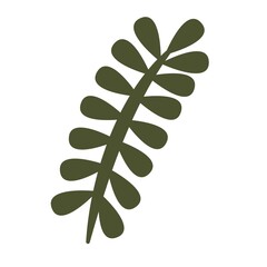 Cute autumn leav vector elements. Isolated on white background drawing for prints, poster, cute stationery, travel design. High quality illustration