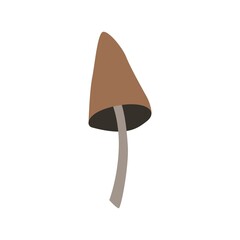 Cute autumn mushroom vector illustration. Isolated on white background vector element for prints, poster, cute stationery, travel design. High quality illustration