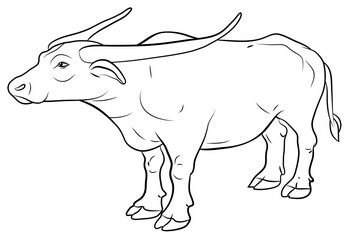 Symbol of the year 2021. Large wild animal buffalo, black and white image.
