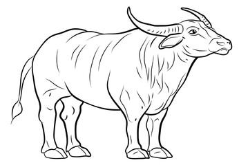 Symbol of the year 2021. Large wild animal buffalo, black and white image.
