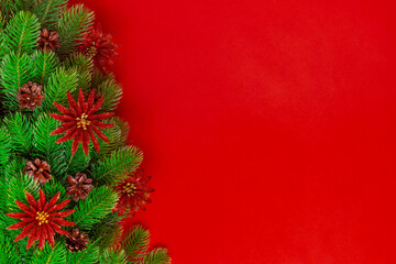 postcard from the branches of a Christmas tree with pine cones and brilliant red flowers on a scarlet background, copy space.