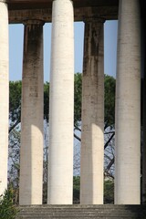 columns in the roman forum city