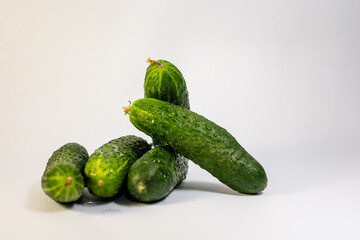 Fresh cucumbers on white background close up shoot