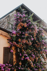 Gardasee Sirmione