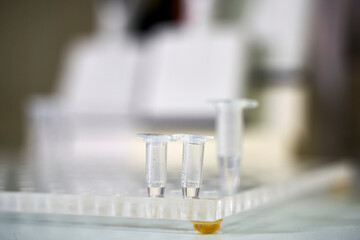 collection of patient tests in the laboratory
