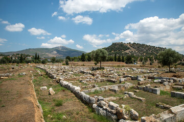 Fototapeta na wymiar The ancient city of Eretria Euboea Greece