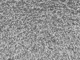 texture of metal