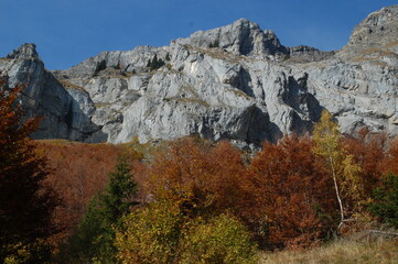 french mountain
