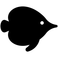 
A close up view of tropical fish
