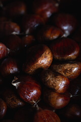 Ripe chestnuts close up. Raw chestnuts. Fresh sweet chestnut. Winter or Christmas background. 