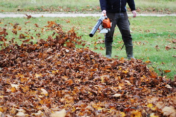 Worker cleaning falling leaves in autumn park. Man using leaf blower for cleaning autumn leaves. Autumn season. Park cleaning service.
