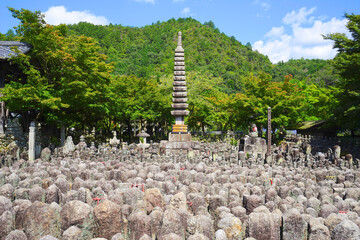 Fototapeta premium Adashino Temple, Kyoto Pref., Japan