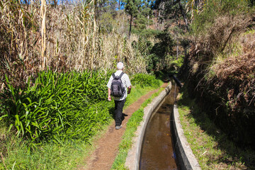 Obraz premium Madère - Madeira (Portugal) / Levada 