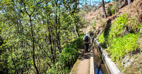 Fototapeta premium Madère - Madeira (Portugal) / Levada 