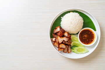 Fototapeta na wymiar fried belly pork with rice with spicy sauce