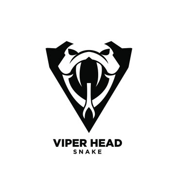 simplified viper snake head with big fangs and initial letter v line outline logo icon design isolated background