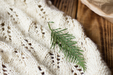 a knitted blanket. new year's card with a green branch/ Greeting christmas card